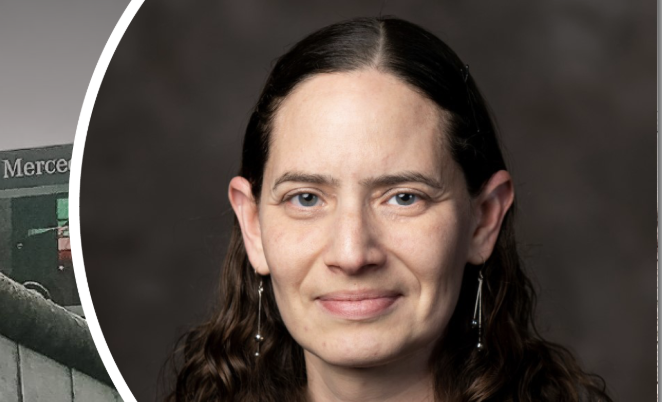 5th DIPLIN Webinar on Language and International Relations